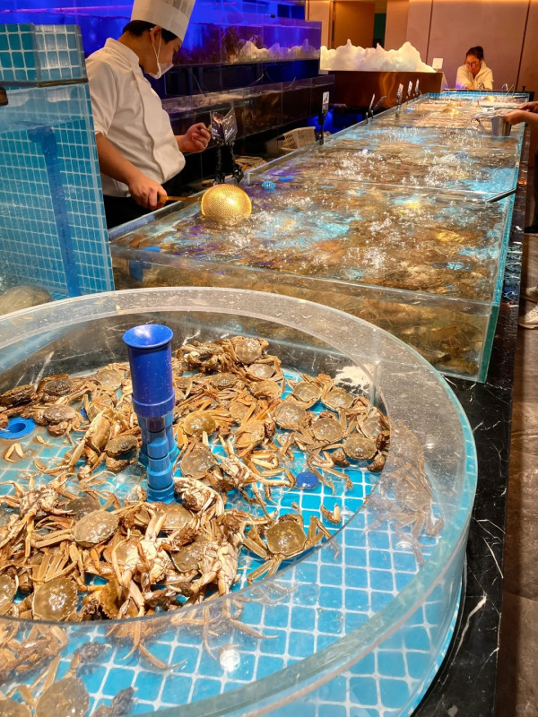 深圳海鮮｜深圳食海鮮餐廳推介9間！即撈即煮大排檔/火鍋/日式放題/炭燒海鮮 