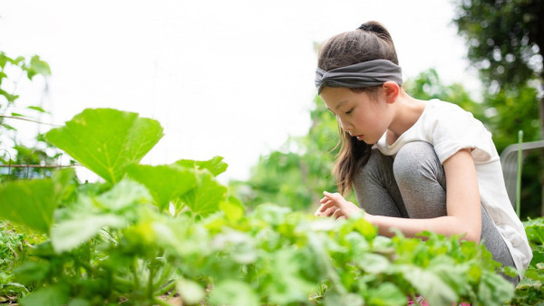 芒種飲食宜忌︱梅雨季傷脾胃 中醫推介湯水及12大養生食材健脾祛濕