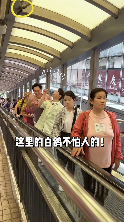 影片中，郭政鴻和甄志強分別去了中環街市、半山扶手電梯、大館、石板街、皇后廣場等景點。