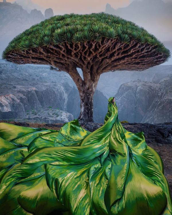 轉瞬即逝蒲公英連身裙 用上近千朵花蕾!同時綻放如煙火超震撼