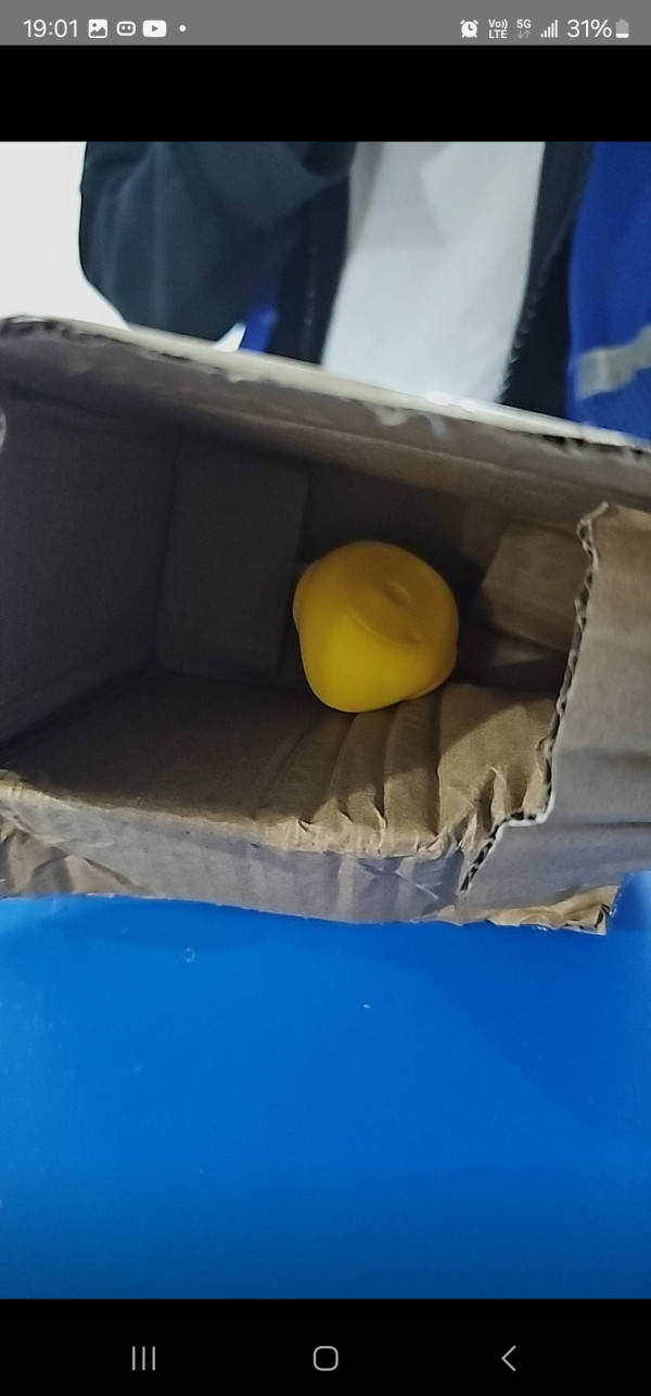 港女淘寶買4層高貓籠中伏！收貨後竟拆出一件玩具？網民分享同類經歷稱「根本佢冇貨」
