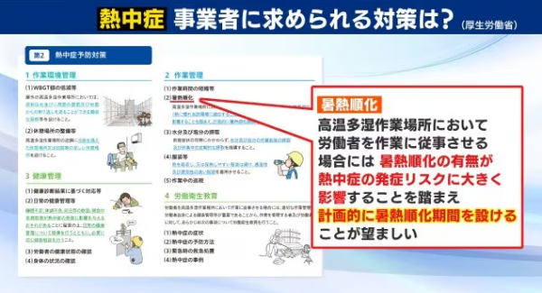 炎夏將至!日本人一習慣預防中暑 2大方法訓練身體 從根本適應炎熱