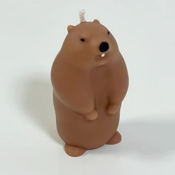 日本首間土撥鼠主題cafe東京開幕！80元起體驗與土撥鼠互動超療癒 