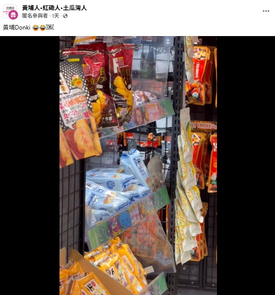黃埔DONKI老鼠貨架揀零食 外形毛色惹議：估計係食刺身大