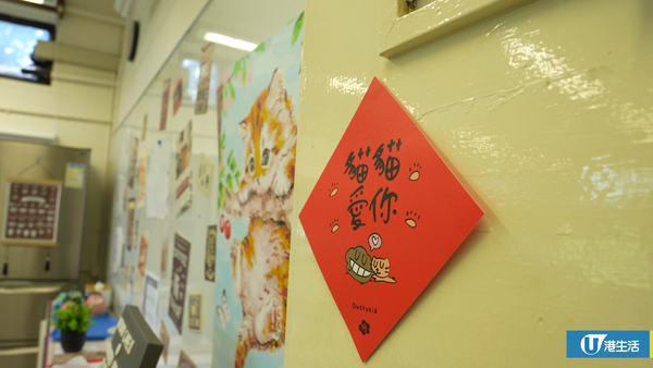 屯門中學師生合力拯救4隻流浪貓BB 校內首設貓Cafe！助學生減壓+啟發生命意義