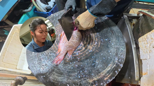 賴慰玲做魚檔劏魚販死纏難打講價 Super Tiger劉展霆家族魚檔生意曝光  