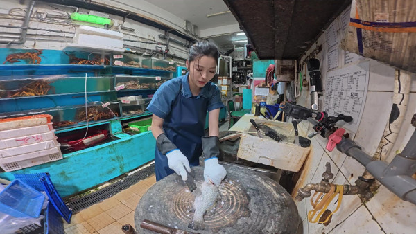 賴慰玲做魚檔劏魚販死纏難打講價 Super Tiger劉展霆家族魚檔生意曝光  