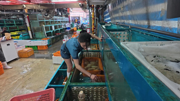 賴慰玲做魚檔劏魚販死纏難打講價 Super Tiger劉展霆家族魚檔生意曝光  