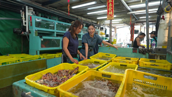 賴慰玲做魚檔劏魚販死纏難打講價 Super Tiger劉展霆家族魚檔生意曝光  