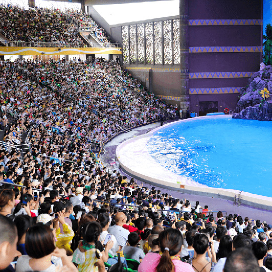 珠海長隆海洋王國遊玩攻略（圖片來源︰珠海長隆海洋王國官方網站）