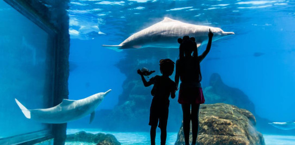 珠海長隆海洋王國遊玩攻略（圖片來源︰珠海長隆海洋王國官方網站）