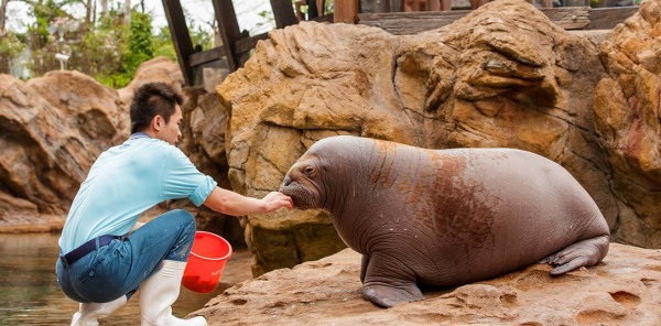 珠海長隆海洋王國遊玩攻略（圖片來源︰珠海長隆海洋王國官方網站）