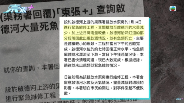 啟德河現大量死魚，圖片來源︰東張西望。