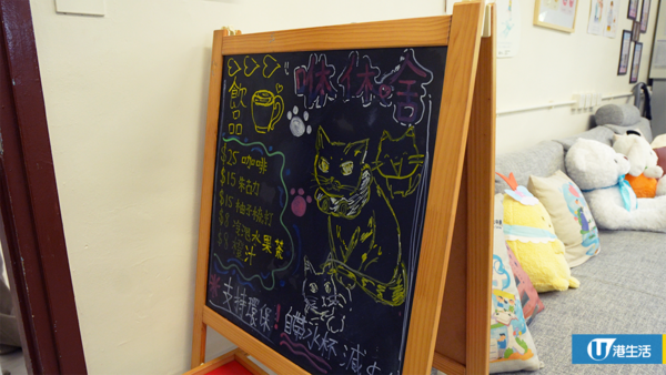 屯門中學師生合力拯救4隻流浪貓BB 校內首設貓Cafe！助學生減壓+啟發生命意義