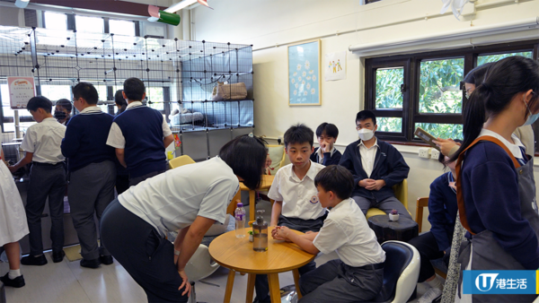 屯門中學師生合力拯救4隻流浪貓BB 校內首設貓Cafe！助學生減壓+啟發生命意義
