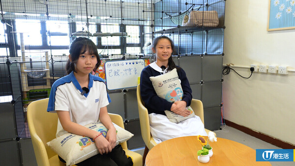 屯門中學師生合力拯救4隻流浪貓BB 校內首設貓Cafe！助學生減壓+啟發生命意義