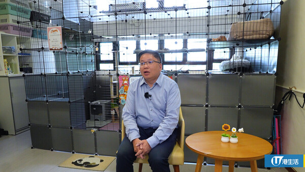 屯門中學師生合力拯救4隻流浪貓BB 校內首設貓Cafe！助學生減壓+啟發生命意義