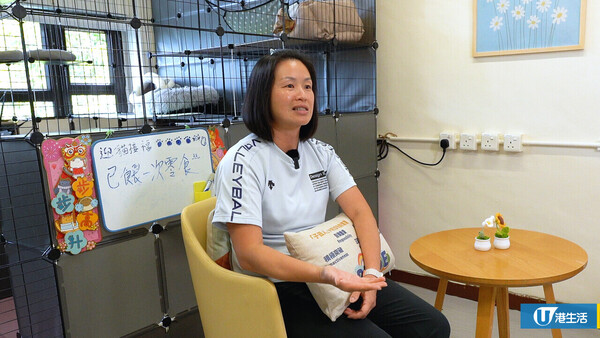 屯門中學師生合力拯救4隻流浪貓BB 校內首設貓Cafe！助學生減壓+啟發生命意義