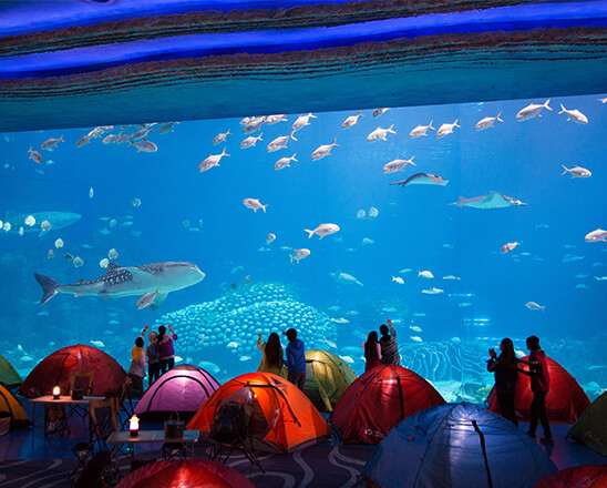 珠海長隆海洋王國遊玩攻略（圖片來源︰珠海長隆海洋王國官方網站）