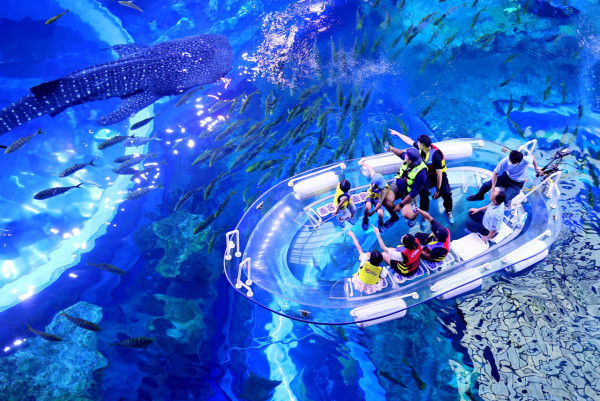 珠海長隆海洋王國遊玩攻略（圖片來源︰珠海長隆海洋王國官方網站）