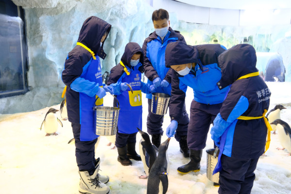 珠海長隆海洋王國遊玩攻略（圖片來源︰珠海長隆海洋王國官方網站）