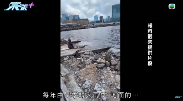 啟德河現大量死魚，圖片來源︰東張西望。