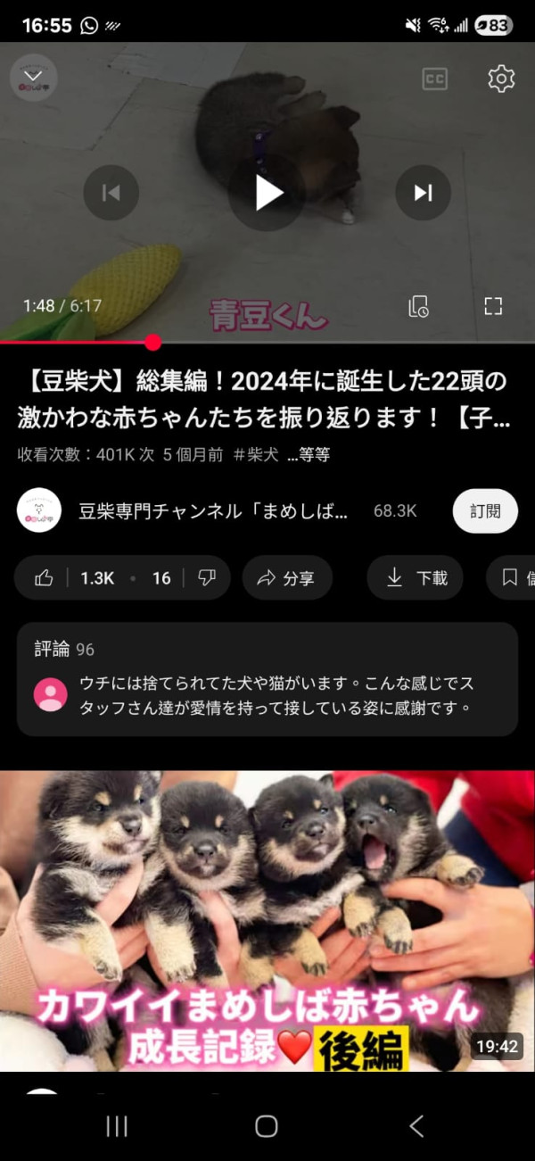 絕技！如何分享YouTube影片指定時間？手機版步驟、電腦版操作方式教學 