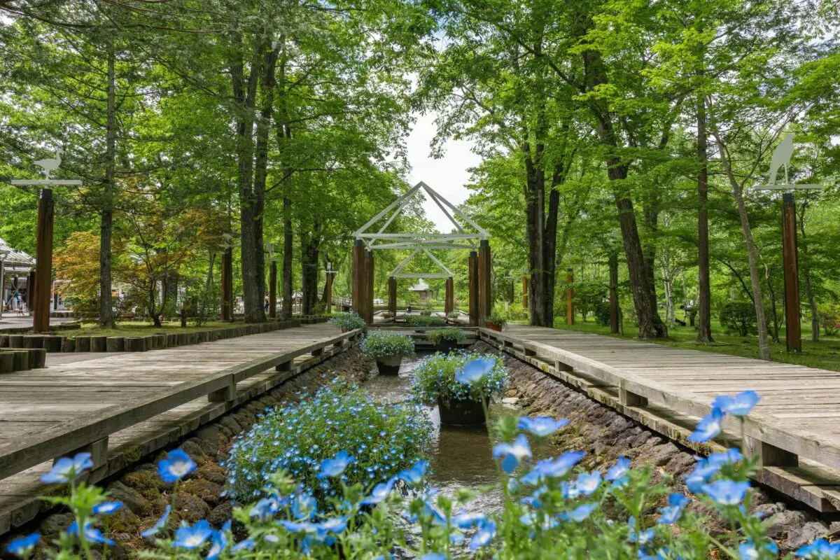 輕井澤(圖片來源:Karuizawa Tourist Association) 輕井澤(圖片來源:Karuizawa Tourist Association)