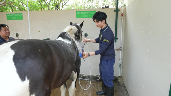 張馳豪Aska近距離接觸馬匹初體驗 落手清理馬糞親力親為大讚零異味