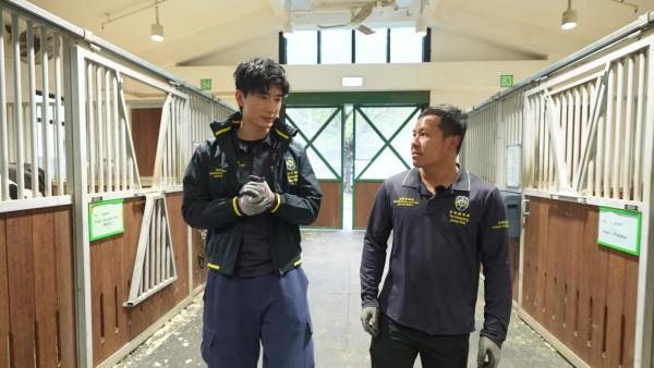 張馳豪Aska近距離接觸馬匹初體驗 落手清理馬糞親力親為大讚零異味