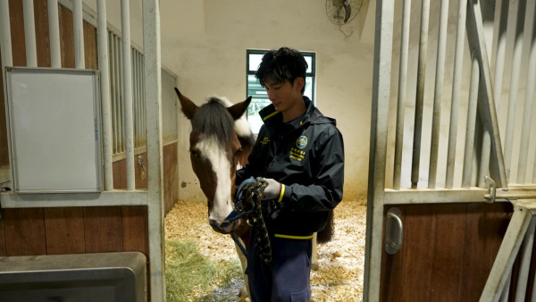 張馳豪Aska近距離接觸馬匹初體驗 落手清理馬糞親力親為大讚零異味