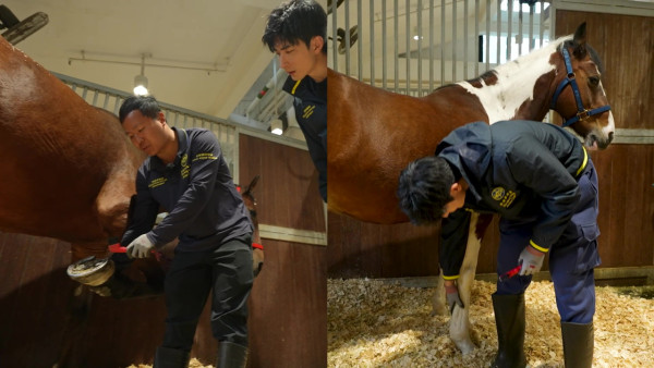 張馳豪Aska近距離接觸馬匹初體驗 落手清理馬糞親力親為大讚零異味