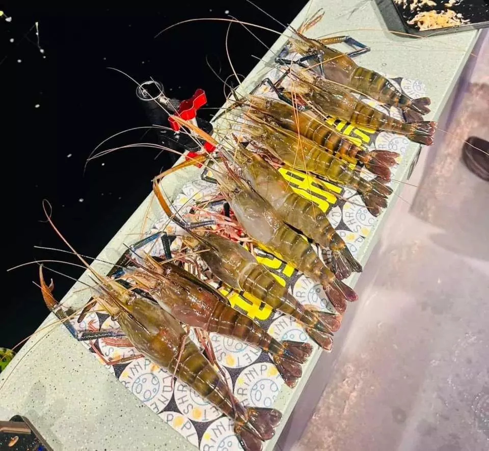荔枝角室內釣蝦場2小時任釣！釣蝦王保底8隻蝦+免費烹調