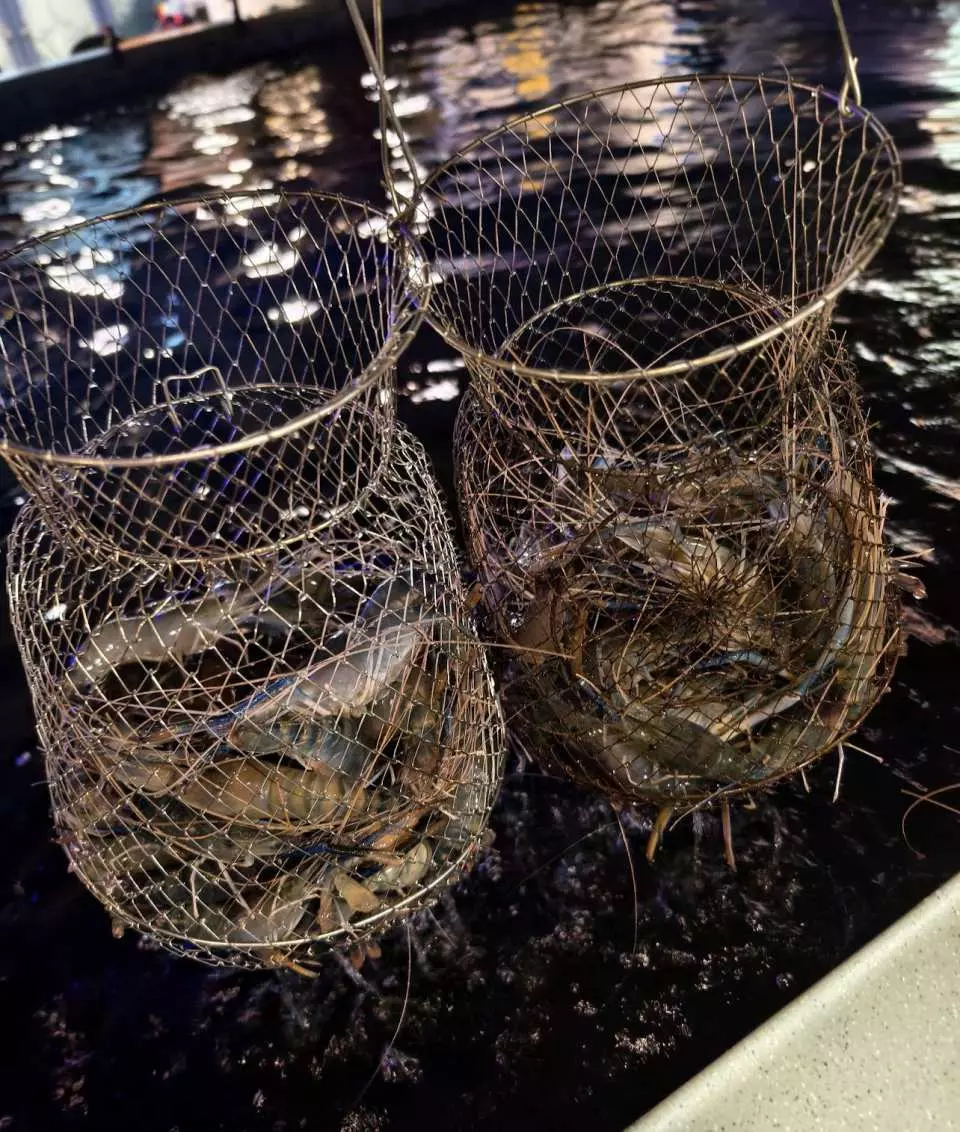 荔枝角室內釣蝦場2小時任釣！釣蝦王保底8隻蝦+免費烹調
