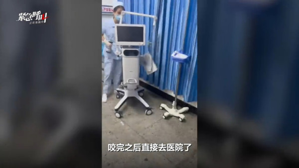 27歲女三亞旅遊遭毒蛇咬翌日亡 家屬質疑醫院延誤治療錯失黃金時間 附應急教學 