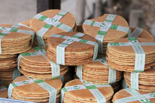 奈良公園(圖片來源:奈良市觀光協會) 奈良公園(圖片來源:奈良市觀光協會)