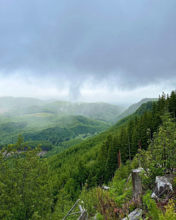 非AI非噴漆！巨型笑臉現身美國森林山坡 百分百自然生成/每年秋季即出現 