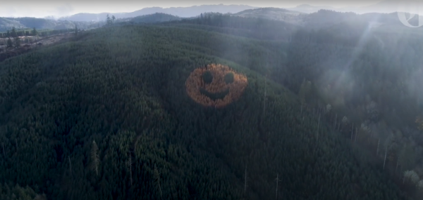 非AI非噴漆！巨型笑臉現身美國森林山坡 百分百自然生成/每年秋季即出現 