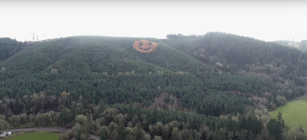 非AI非噴漆！巨型笑臉現身美國森林山坡 百分百自然生成/每年秋季即出現 