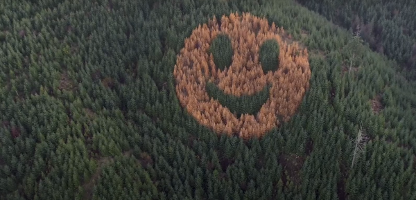 非AI非噴漆！巨型笑臉現身美國森林山坡 百分百自然生成/每年秋季即出現 