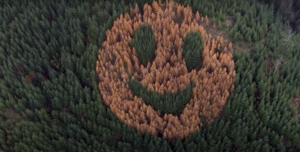 非AI非噴漆！巨型笑臉現身美國森林山坡 百分百自然生成/每年秋季即出現 