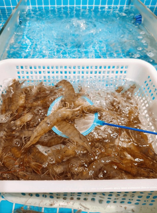 超抵食！ 深圳6大必吃高CP放題餐廳 任食烤肉/刺身/海鮮/火鍋 