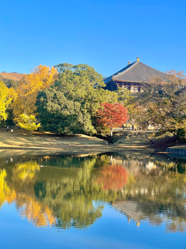 東大寺(圖片來源:Facebook@Tōdai-Ji Temple, Great Buddha of NARA ) 東大寺(圖片來源:Facebook@Tōdai-Ji Temple, Great Buddha of NARA )