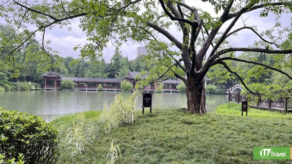 成都自由行(圖片來源：U Travel 編輯部)