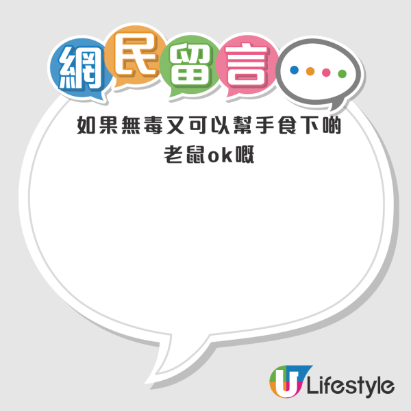 啟德公園驚見蛇蹤！黃色幼蛇水池邊游走！本港14類毒蛇要小心