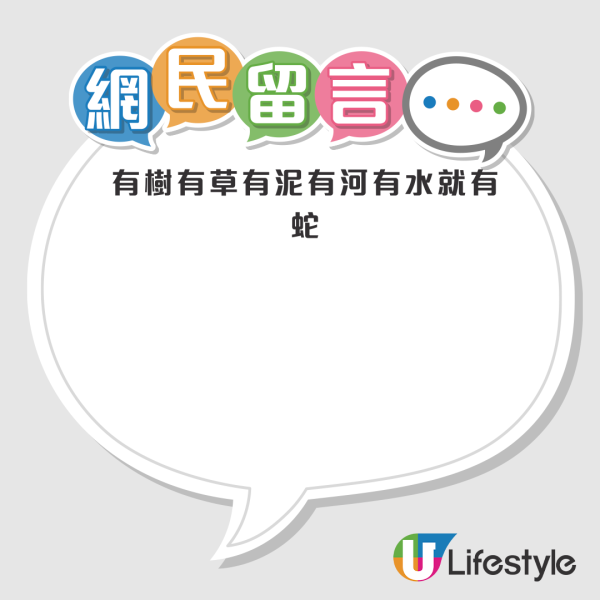 啟德公園驚見蛇蹤！黃色幼蛇水池邊游走！本港14類毒蛇要小心