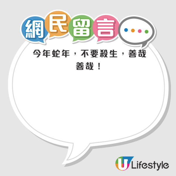 啟德公園驚見蛇蹤！黃色幼蛇水池邊游走！本港14類毒蛇要小心
