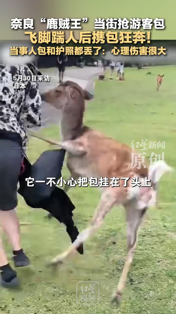 日本地鐵內地客霸優先座開餐 霸氣日本妹5句罵走!下場大快人心