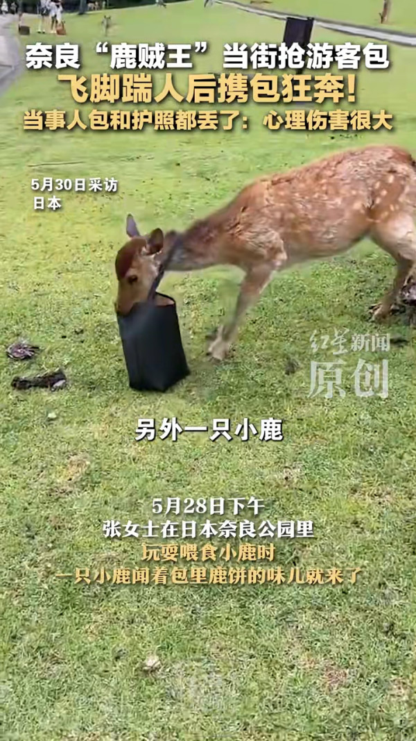 日本地鐵內地客霸優先座開餐 霸氣日本妹5句罵走!下場大快人心