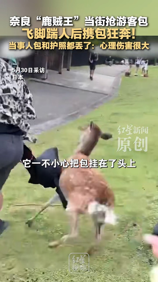 日本地鐵內地客霸優先座開餐 霸氣日本妹5句罵走!下場大快人心